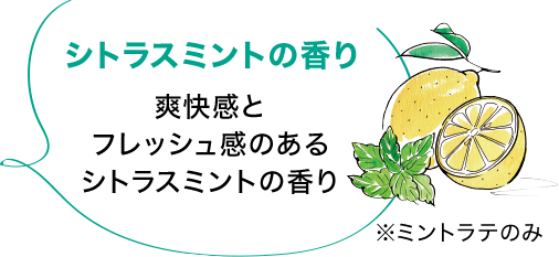 爽快感とフレッシュ感のあるシトラスミントの香り（ミントラテのみ）