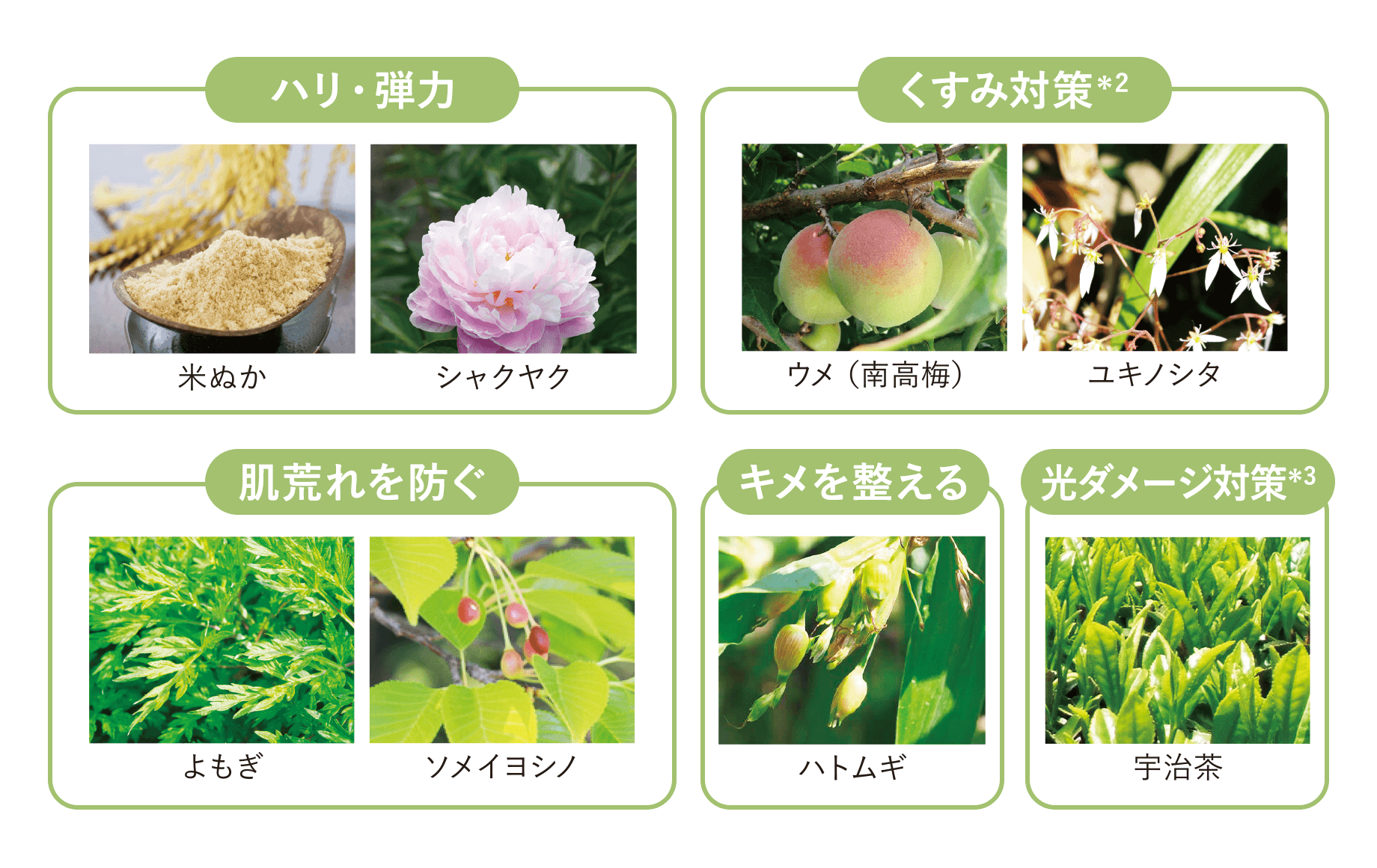 8種類のスキンケア成分