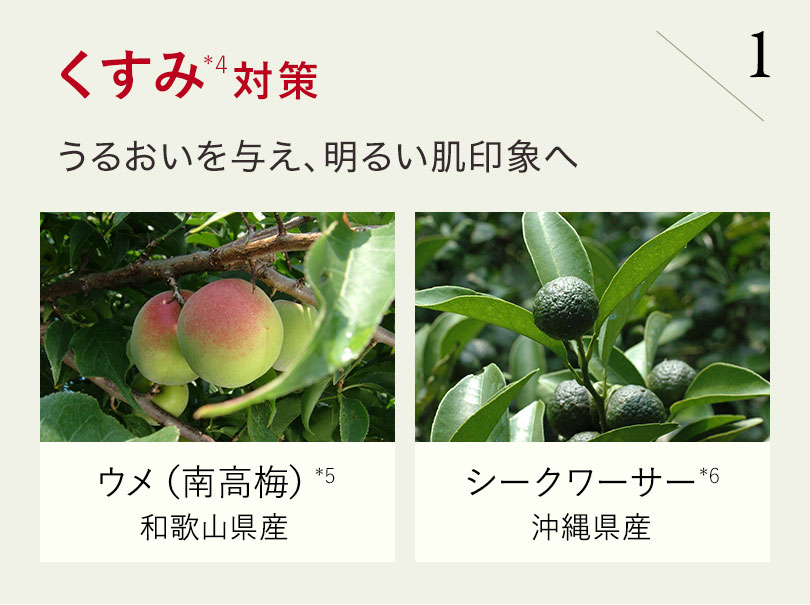 くすみ対策 うるおいを与え、明るい肌印象へ