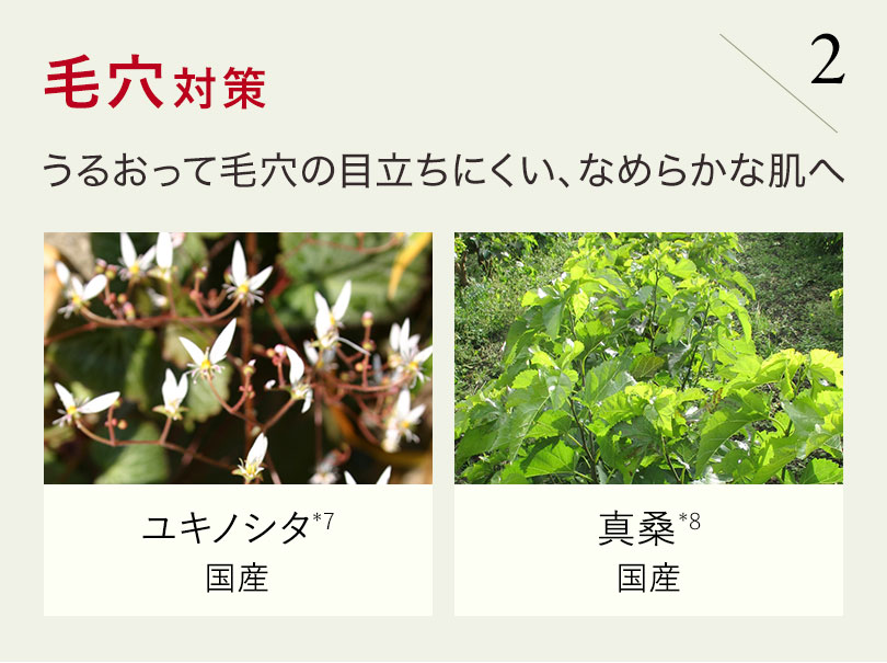 毛穴対策 うるおって毛穴の目立ちにくい、なめらかな肌へ