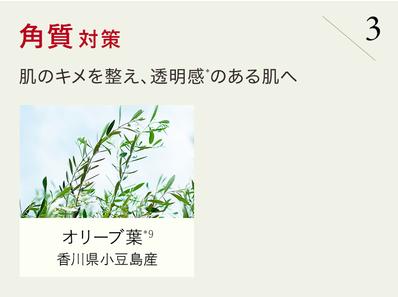 角質対策 肌のキメを整え、透明感*のある肌へ