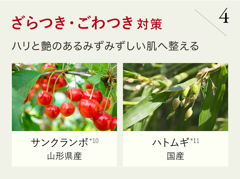 ざらつき・ごわつき対策 ハリと艶のあるみずみずしい肌へ整える