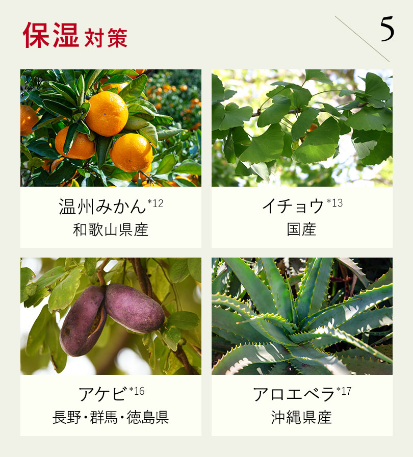保湿対策