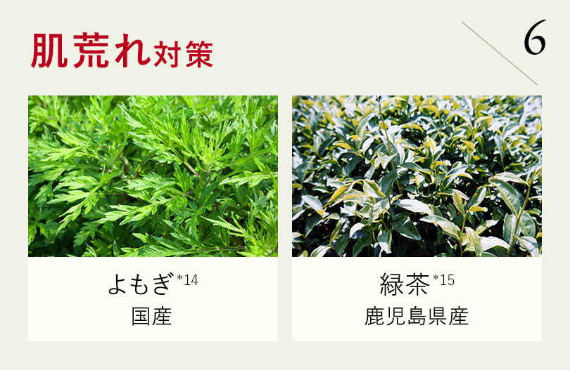 肌荒れ対策