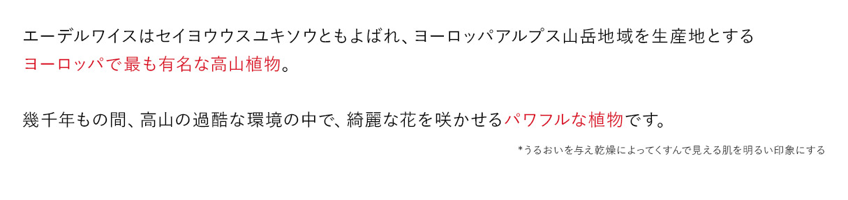 エーデルワイスはセイヨウウスユキソウともよばれ、ヨーロッパアルプス山岳地域を生産地とするヨーロッパで最も有名な高山植物です。幾千年もの間、高山の過酷な環境の中で、綺麗な花を咲かせるパワフルな植物。