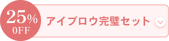 【限定】アイブロウ完璧セット