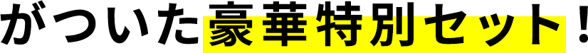 がついた豪華特別セット！