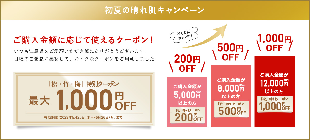 初夏の晴れ肌キャンペーン ご購入金額として使えるクーポン