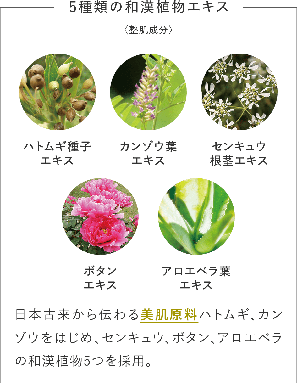 【5種類の和漢植物エキス】日本古来から伝わる美肌原料ハトムギ、カンゾウをはじめ、センキュウ、ボタン、アロエベラの和漢植物5つを採用。