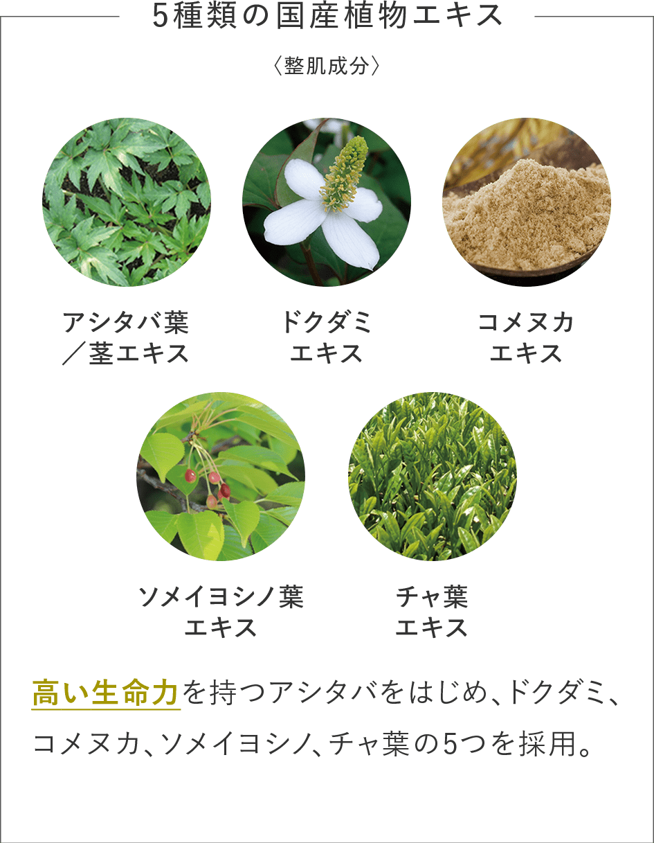 【5種類の国産植物エキス】高い生命力を持つアシタバをはじめ、ドクダミ、コメヌカ、ソメイヨシノ、チャ葉の5つを採用。