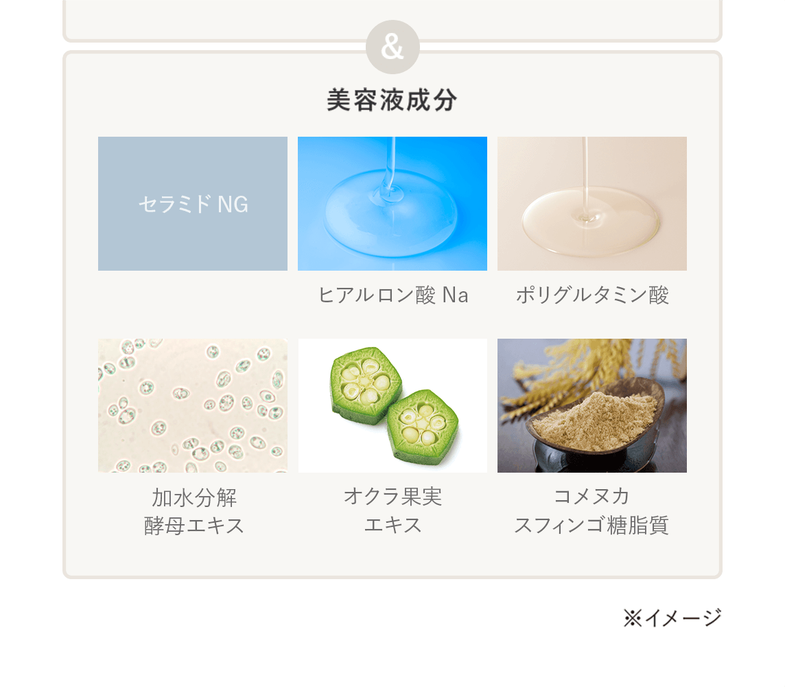 美容液成分：セラミドNG/ヒアルロン酸Na/ポリグルタミン酸/加水分解酵母エキス/オクラ果実エキス_コメヌカスフィンゴ糖脂質