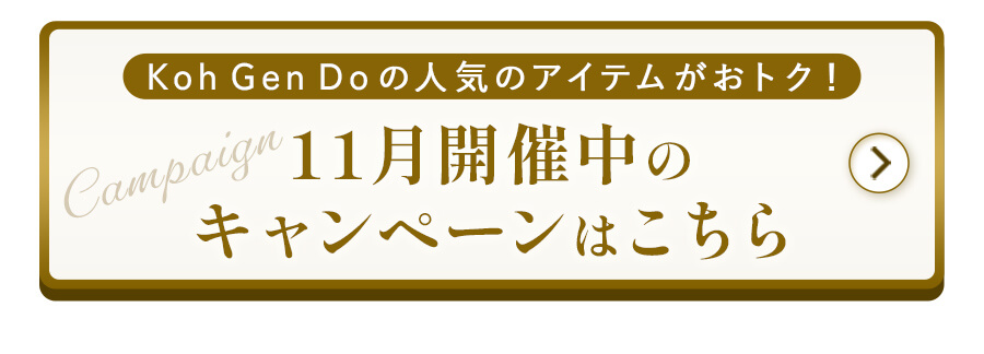 11月開催中のキャンペーンはこちら