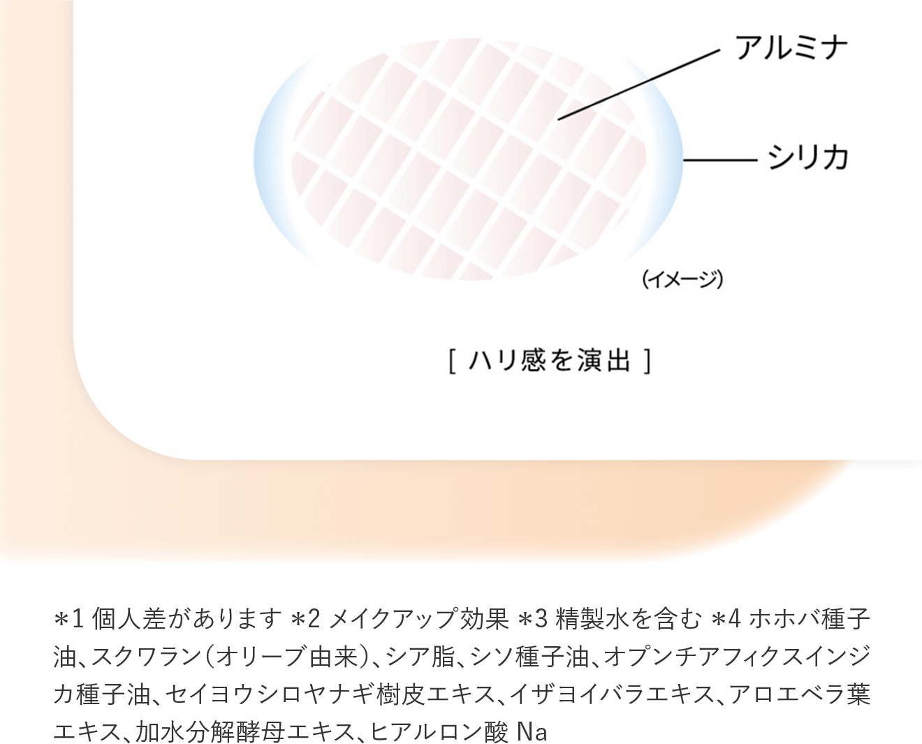 ＊1 個人差があります ＊2 メイクアップ効果 ＊3 精製水を含む ＊4 ホホバ種子油、スクワラン（オリーブ由来）、シア脂、シソ種子油、オプンチアフィクスインジカ種子油、セイヨウシロヤナギ樹皮エキス、イザヨイバラエキス、アロエベラ葉エキス、加水分解酵母エキス、ヒアルロン酸 Na