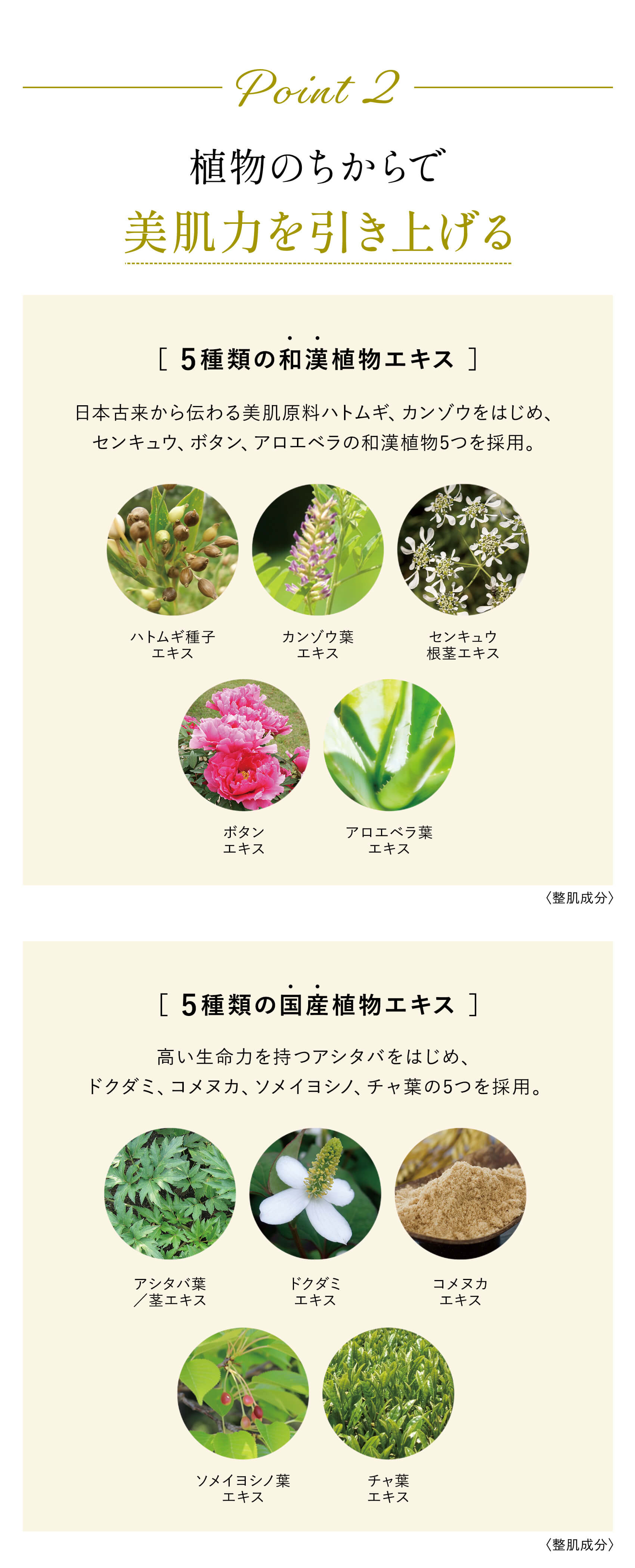 Point 2 植物のちからで美肌力を引き上げる［ 5種類の和漢植物エキス ］日本古来から伝わる美肌原料ハトムギ、カンゾウをはじめ、センキュウ、ボタン、アロエベラの和漢植物5つを採用。［ 5種類の国産植物エキス ］高い生命力を持つアシタバをはじめ、ドクダミ、コメヌカ、ソメイヨシノ、チャ葉の5つを採用。