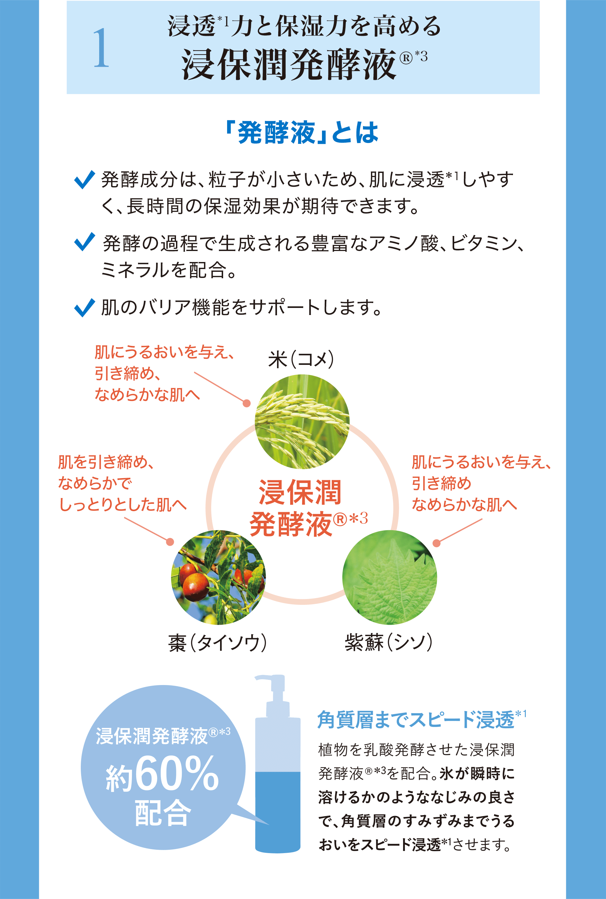 1.浸透*1力と保湿力を高める浸保潤発酵液®*3 