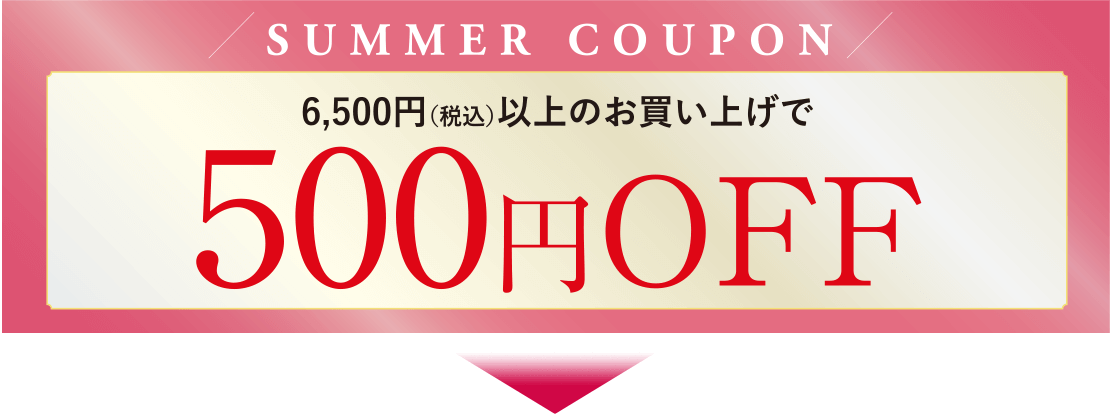 6,500円(税込)以上のお買い上げで500円OFF