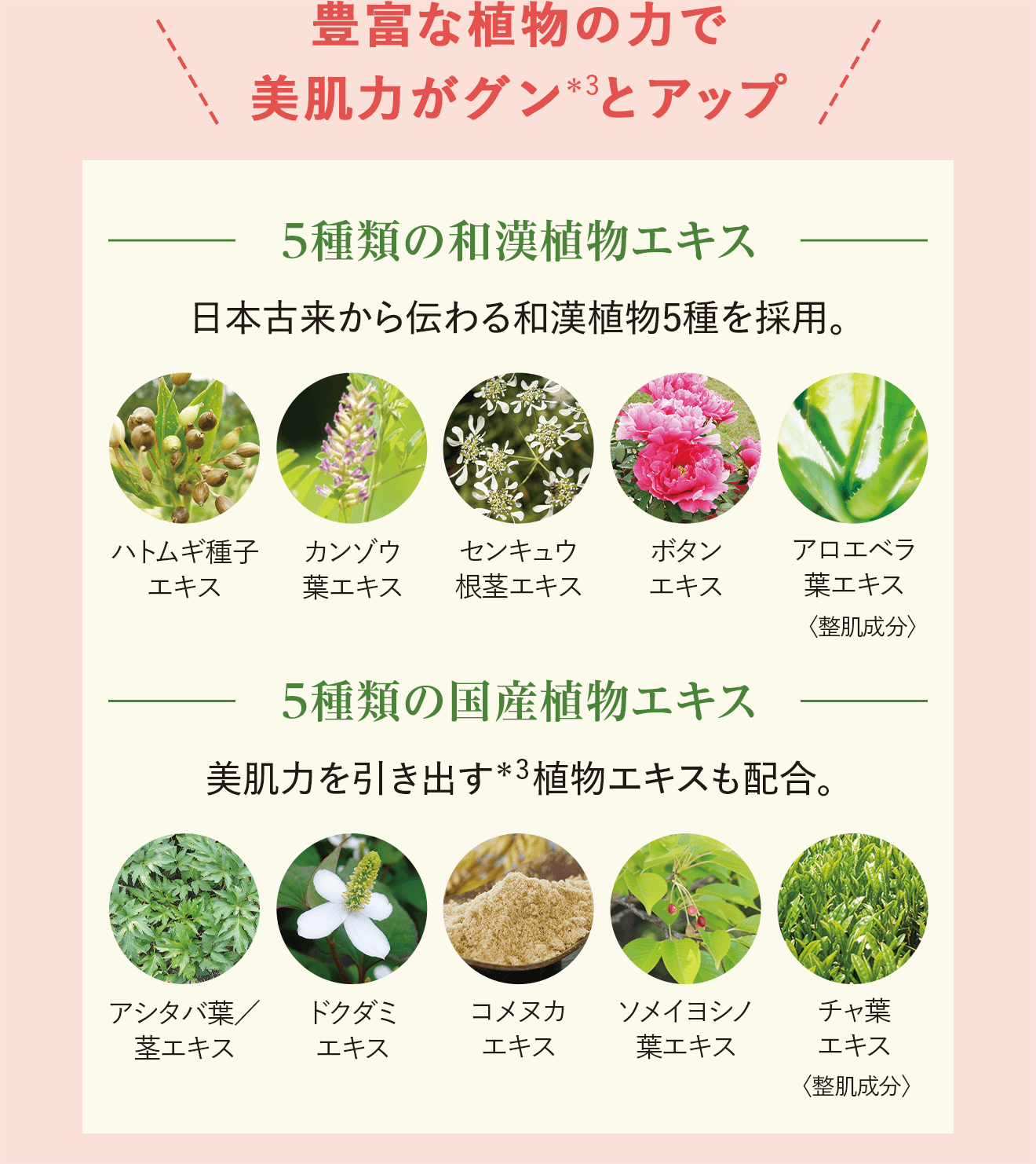 豊富な植物の力で美肌力がグン＊3とアップ