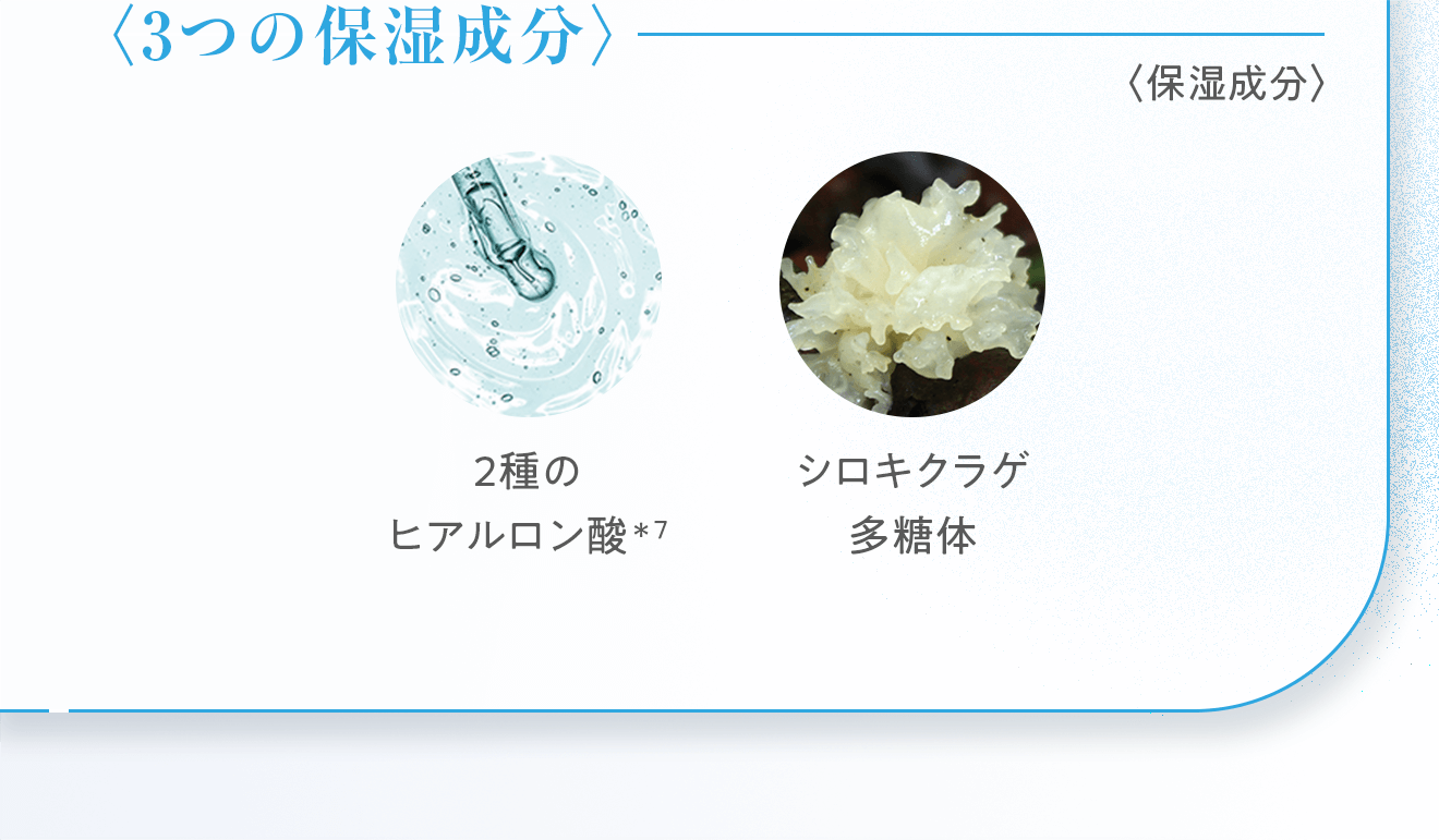 〈3つの保湿成分〉