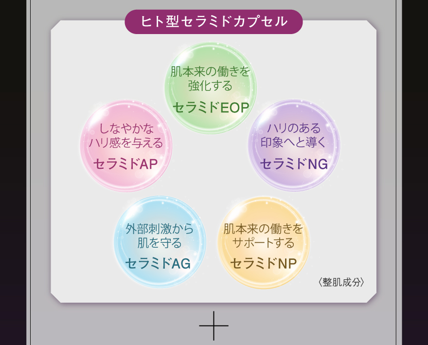 ヒト型セラミドカプセル:セラミドEOP(肌本来の働きを・強化する)、セラミドAP（しなやかな・ハリ感を与える）、セラミドAG（外部刺激から肌を守る）、セラミドNP（肌本来の働きを・サポートする）、セラミドNG（ハリのある・印象へと導く）＋