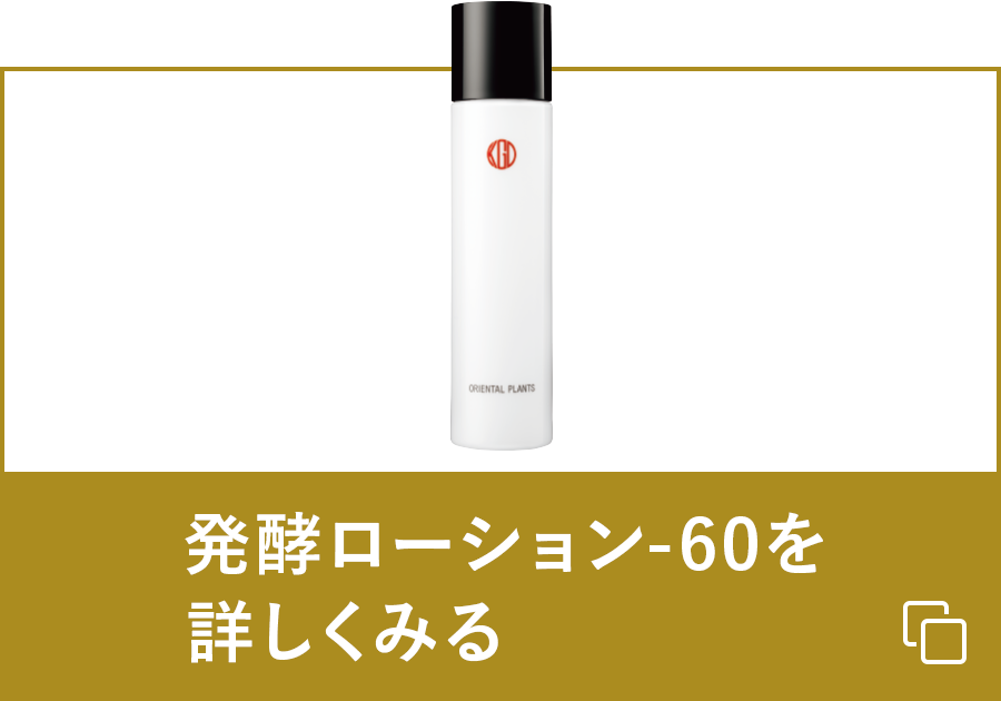SMPを詳しくみる