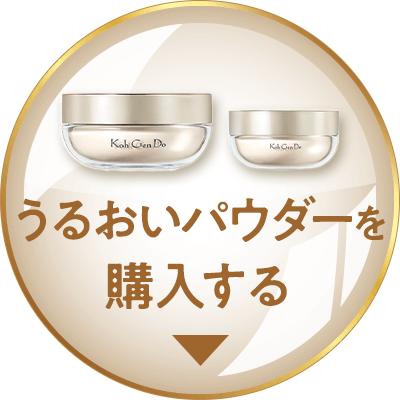 お得なセット掲載中