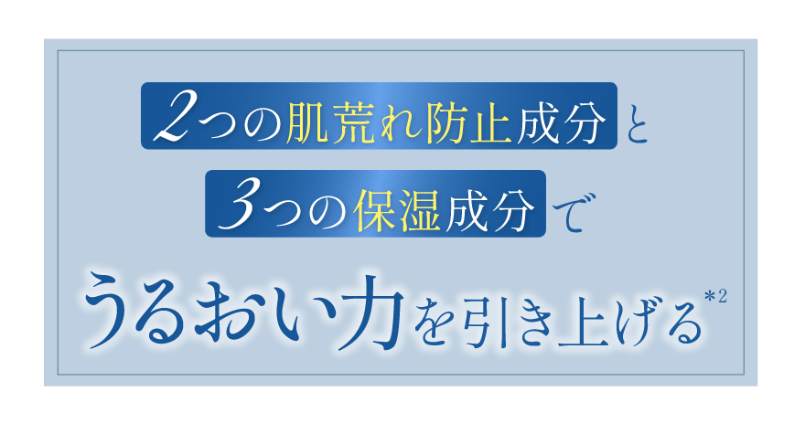 2つの肌荒れ防止成分と3つの保湿成分で美肌力を引き上げる＊２