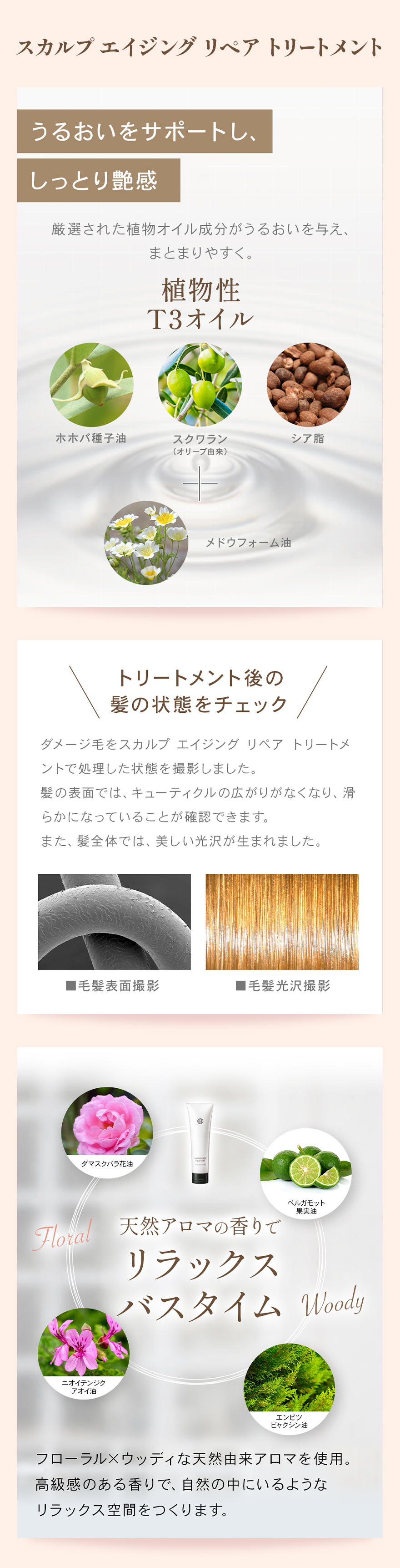 スカルプ エイジング リペア トリートメント