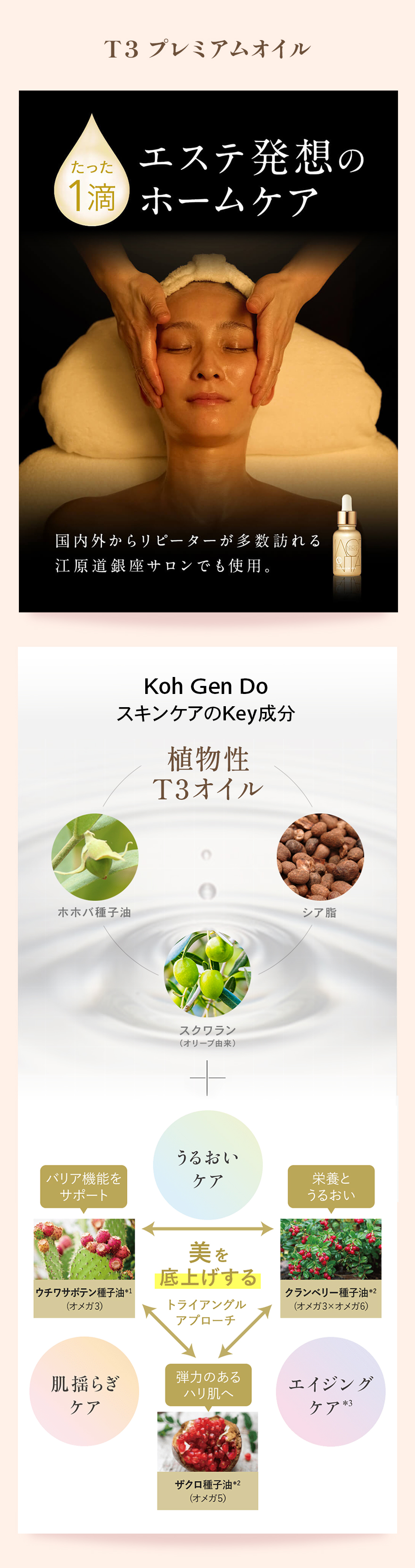 Ｔ３ プレミアムオイル