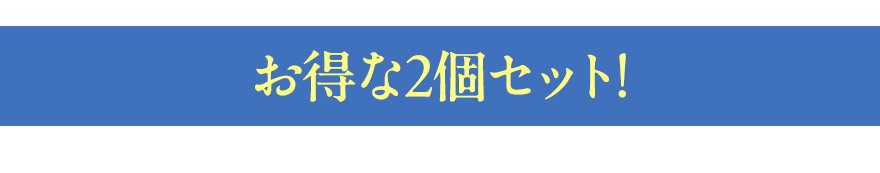 お得な２個セット！