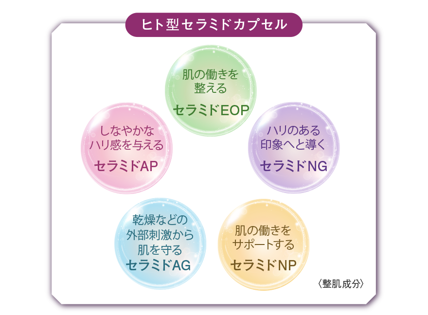 ヒト型セラミドカプセル