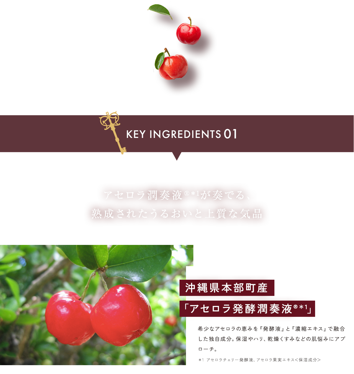 アセロラ潤奏液®︎＊1が奏でる、熟成されたうるおいと上質な気品