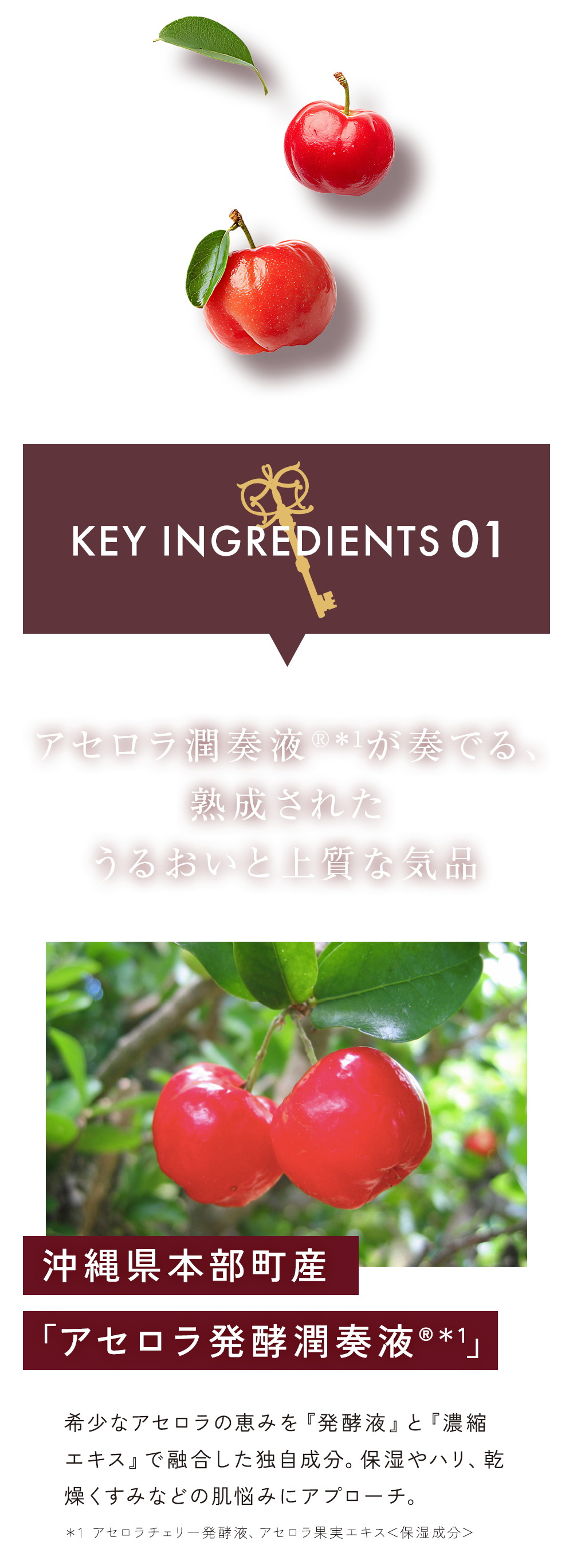 アセロラ潤奏液®︎＊1が奏でる、熟成されたうるおいと上質な気品
