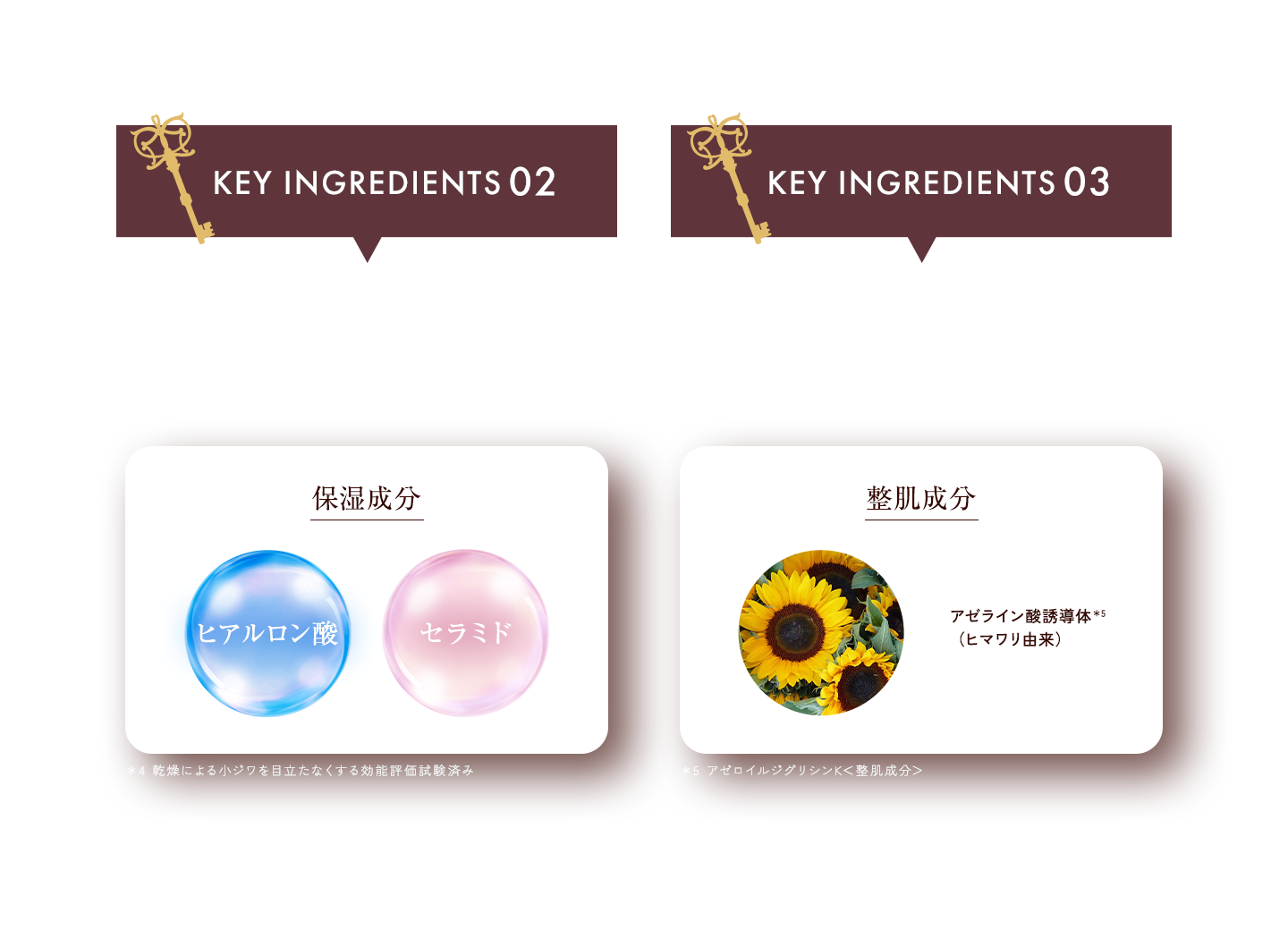 ベスコス受賞濃密肌®ファンデーションを堪能する特別なアニバーサリーボックス