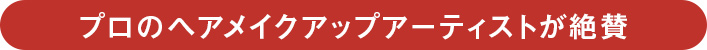 プロのヘアメイクアップアーティストが絶賛