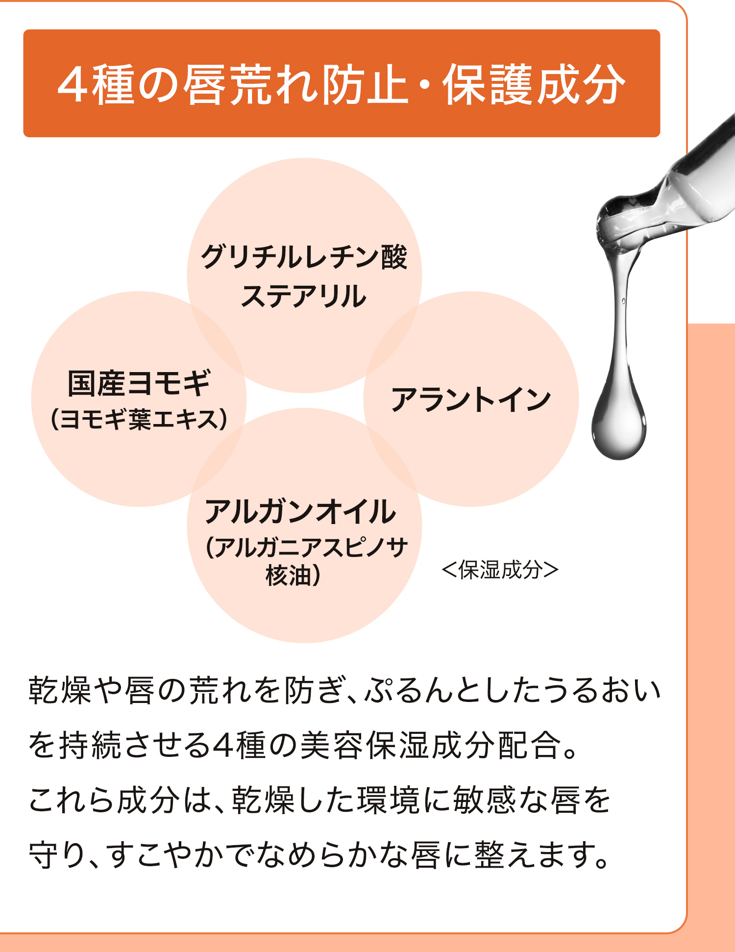 4種の唇荒れ防止・保護成分｜乾燥や唇の荒れを防ぎ、ぷるんとしたうるおいを持続させる4種の美容保湿成分配合。これら成分は、乾燥した環境に敏感な唇を守り、すこやかでなめらかな唇に整えます。