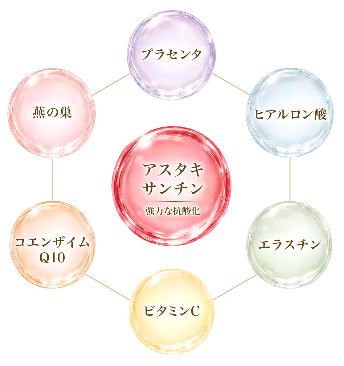 アスタキサンチン、プラセンタ、ヒアルロン酸、燕の巣、エラスチン、コエンザイムQ10、ビタミンC