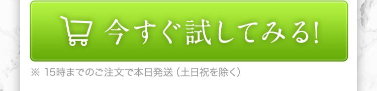 今すぐ試してみる