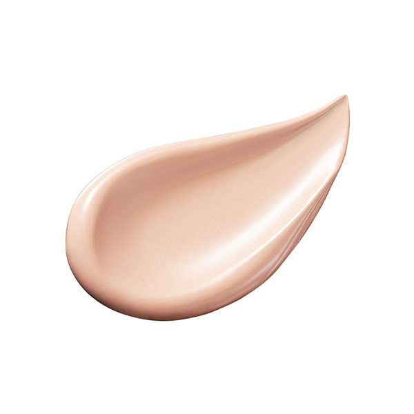 ザ・スキンウエイク 発酵液ファンデーション フィルタリングクリーム（レフィル＆パフ）(P04)